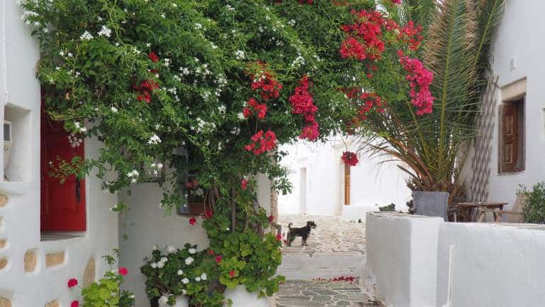 Folegandros - Mică și liniștită, cu plaje superbe și sate tradiționale 2