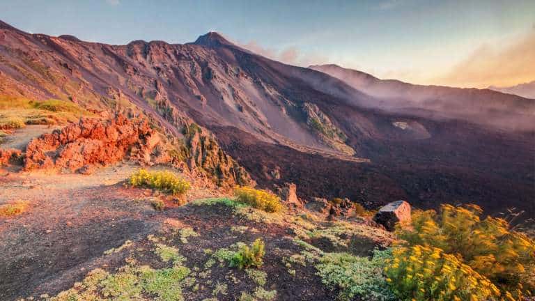 Flora și fauna pe Vulcanul Etna