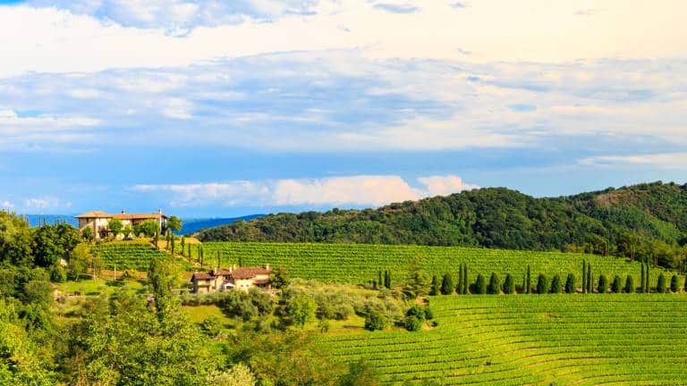 Regiunea viticolă Friuli Venezia Giulia
