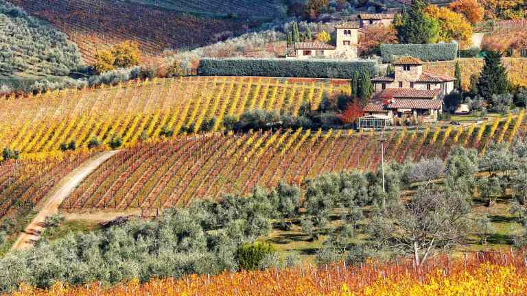 Descoperind Toscana 